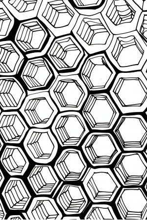 Honeycomb Inspired