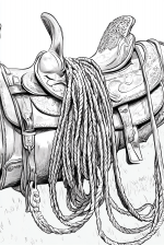Coiled Rope