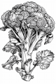 Fruits And Veggies Bundle Vol. 1 - 10 Printable Coloring Pages
