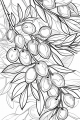 Fruits And Veggies Bundle Vol. 2 - 10 Printable Coloring Pages