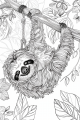 Jungle Animals Bundle Vol. 2 - 10 Printable Coloring Pages