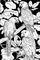 Jungle Animals Bundle Vol. 1 - 10 Printable Coloring Pages