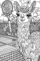 Llamas Bundle Vol. 2 - 10 Printable Coloring Pages
