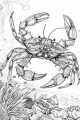 Sea Animals Bundle Vol. 1 - 10 Printable Coloring Pages