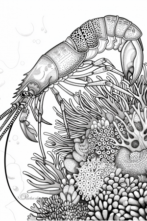 Sea Animals Bundle Vol. 2 - 10 Printable Coloring Pages