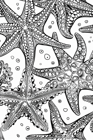 Starfish Ocean